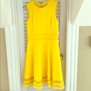 NWT | Calvin Klein | Fit & Flare Midi Dress